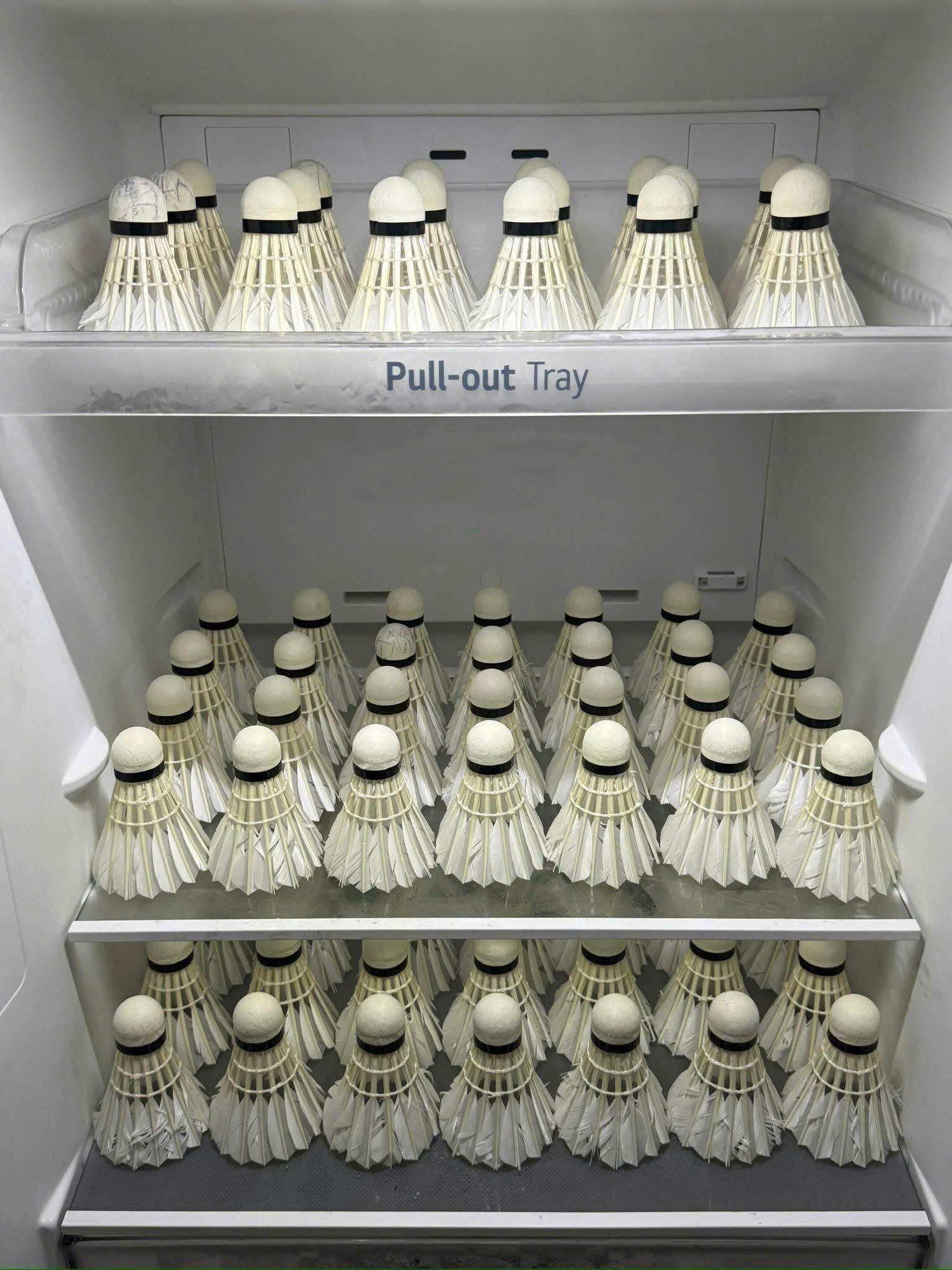 ảnh về section 2